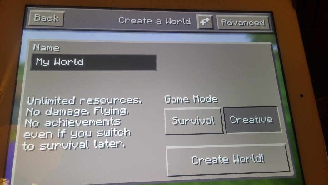 player cant connect to minecraft server